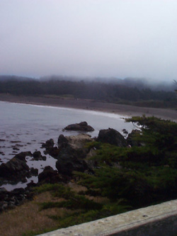 Foggy morning at MacKerricher State Park, August 2000