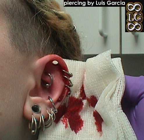 helix piercing jewelry. 4ga helix piercing(done with a