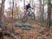 gambrill_nov_02