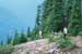15whistler