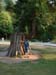 20gnarlytree