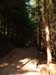 26northshore