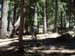 55holeintheground_truckee