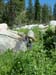 58holeintheground_truckee
