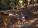 60jackasstrail_truckee