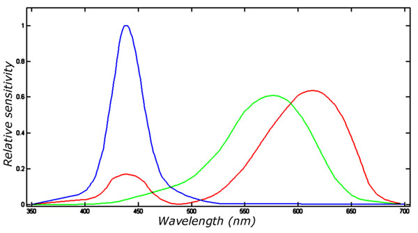 Sensitivity of eye cones.