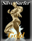 Silver Surfer GOLD Award