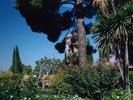 alhambra jardins-san-francisco2