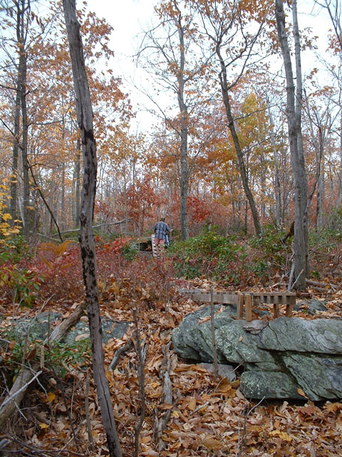 gambrill_nov_02