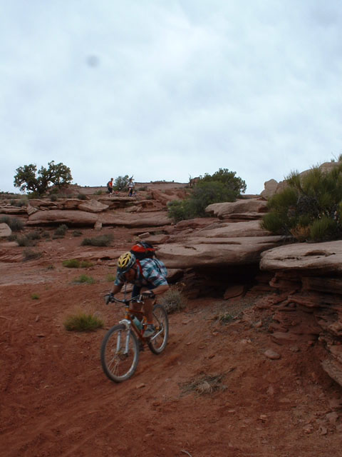 porc_rim_session3