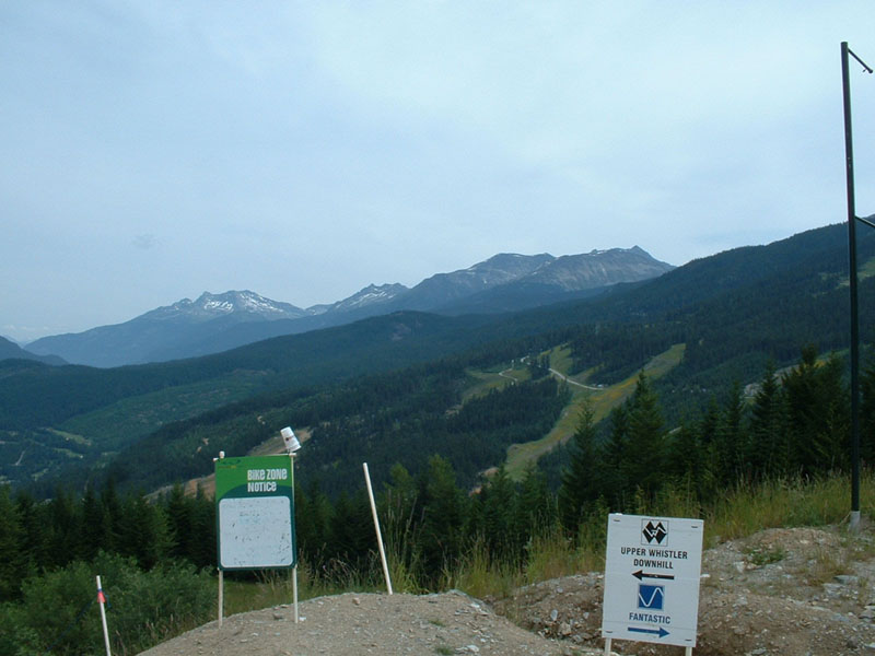 01whistler