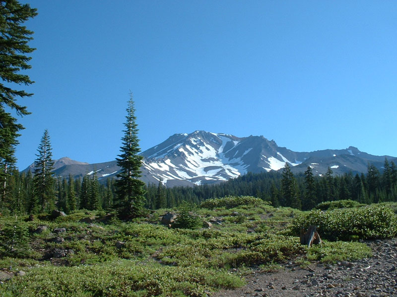 49.mtshasta