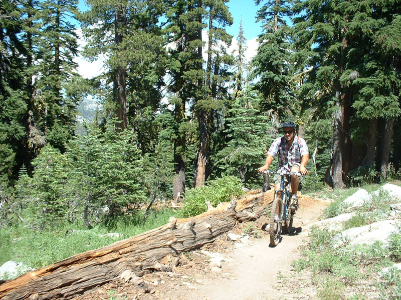 57holeintheground_truckee