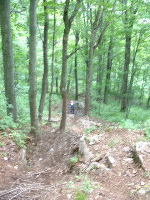 DSCF0008