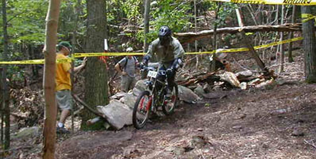 whitetaildh