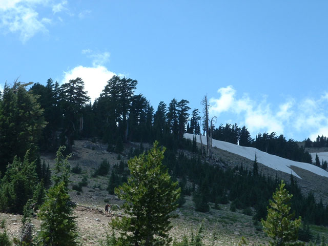 DSCF0014