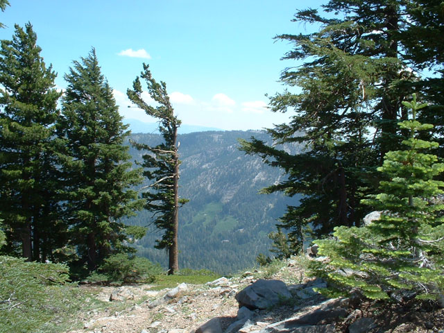 DSCF0015